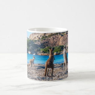 Kangaroo standoff on the beach coffee mug