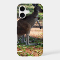 Kangaroo With A Itch To Scratch,
