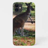 Kangaroo With A Itch To Scratch,