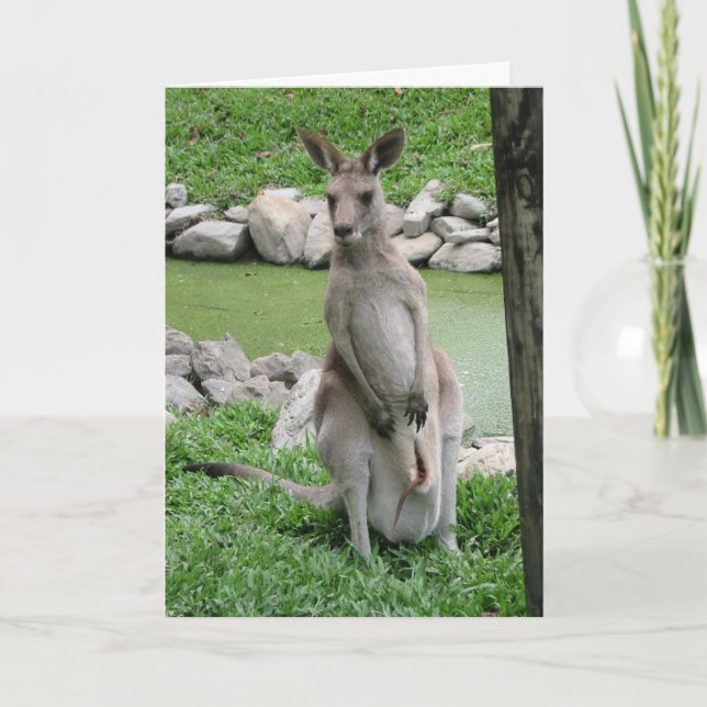 Kangaroo with Joey Birthday Card (Front)