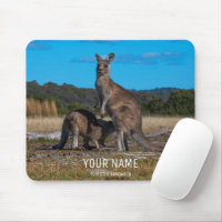 Kangaroo with nursing baby joey Tasmania Australia