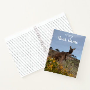 Kangaroo Yellow Spring Flowers Australia Nature Notebook