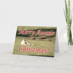 Kangaroos Holiday Card