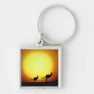 Kangaroos in the Australian Outback Key Ring