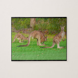 kangaroos jigsaw puzzle