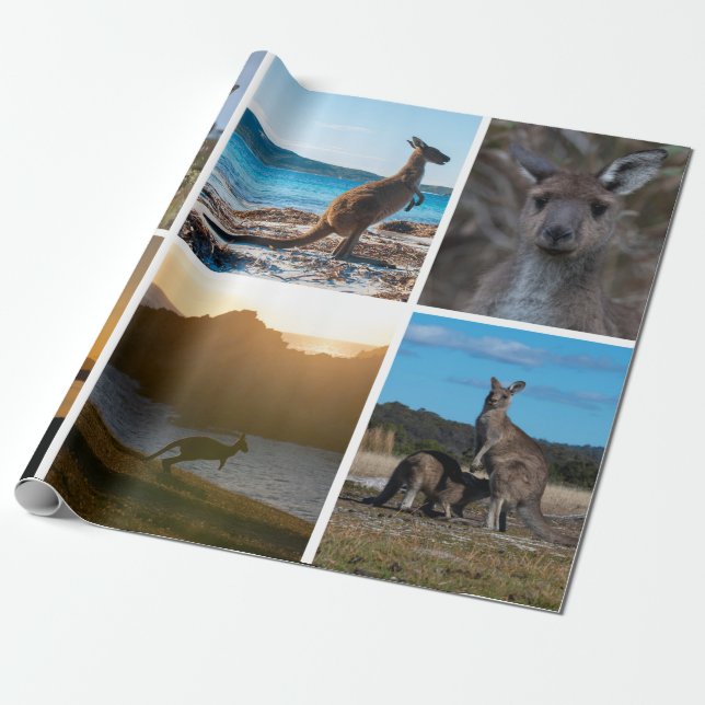 Kangaroos of Australia Wrapping Paper (Unrolled)