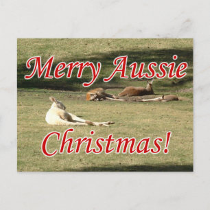 Kangaroos Postcard