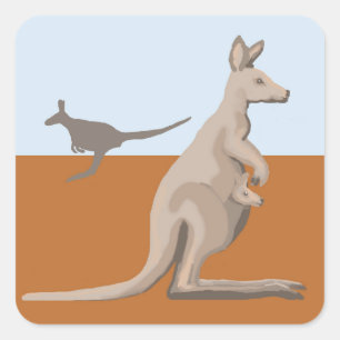 Kangaroos Square Sticker