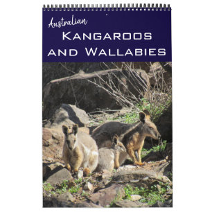 kangaroos wallabies 2027 calendar