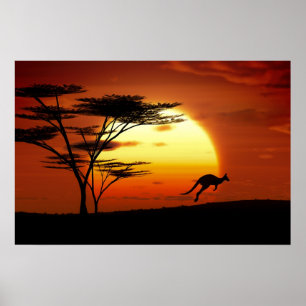 kangoroo at sunset poster