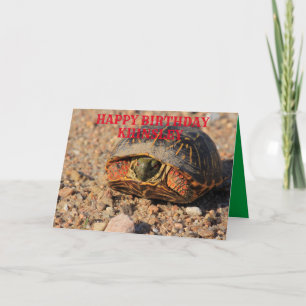 Kansas Box Shell Turtle Birthday Greeting Card