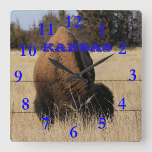 Kansas Buffalo Square Wall Clock