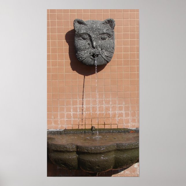 Kansas City Cat Fountain Poster (Front)