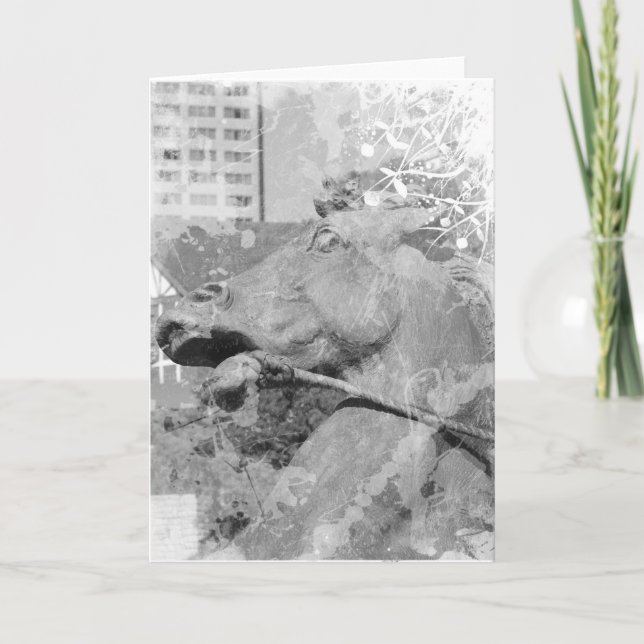 Kansas City Plaza Horse Black and White Card (Front)