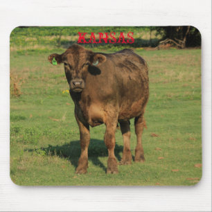 Kansas Country Cow Mouse Pad