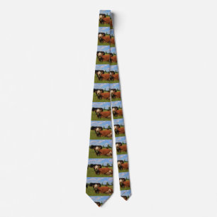 Kansas Country Cows TIE