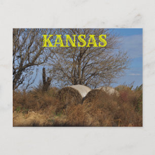 Kansas Country Landscape Post Card. Postcard