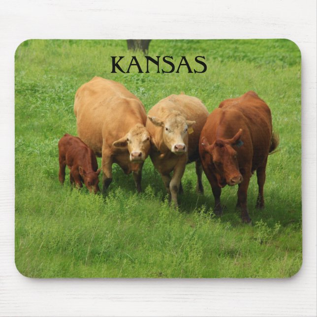 Kansas Cow's in a green pasture Mouse Pad (Front)