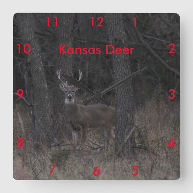Kansas Deer CLOCK (Front)