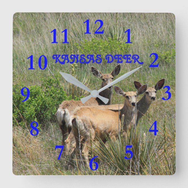 Kansas Deer Square Wall Clock (Front)