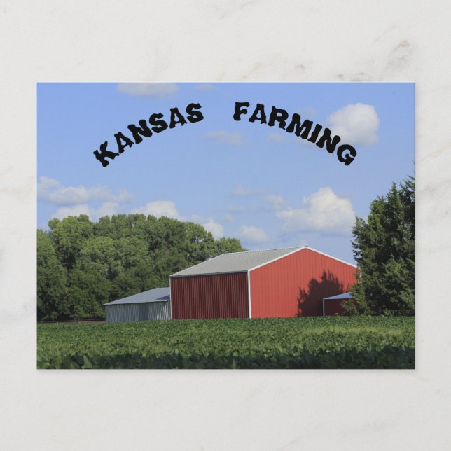 Kansas Farming with soy beans and Barn's Post Card (Front)