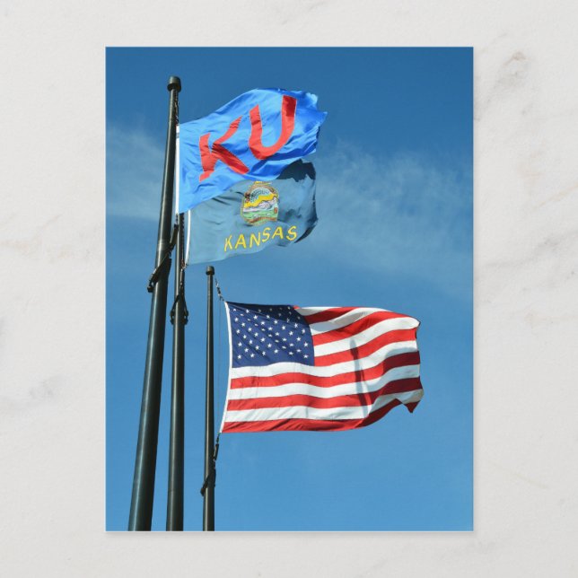 Kansas Flags Postcard (Front)