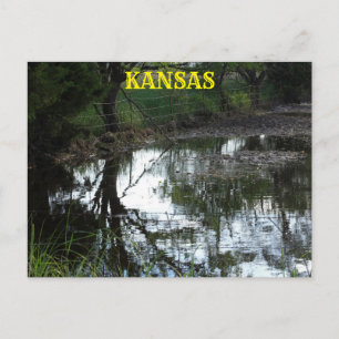 Kansas flood water in a pasture Post Card. Postcard