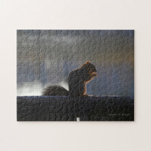 Kansas Fox Tail Squirrel Jigsaw puzzle