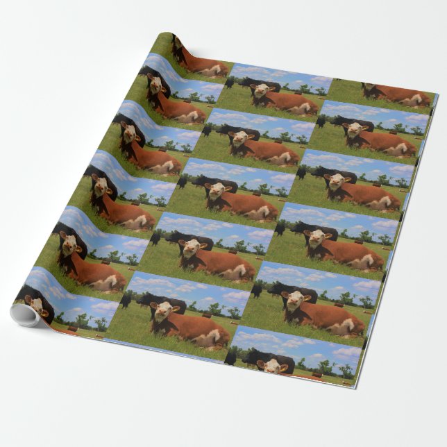 Kansas Hereford Cow Wrapping Paper (Unrolled)