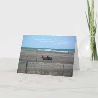 Kansas Horses in Pasture Card