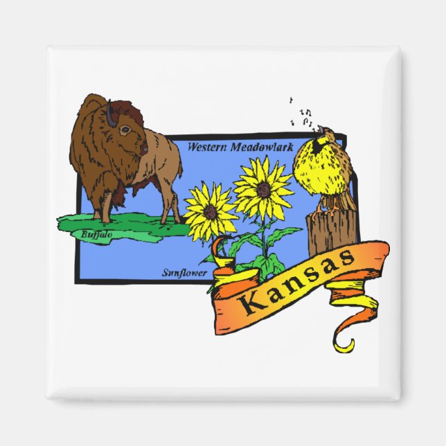 Kansas Map 2 Magnet (Front)