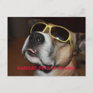 KANSAS PETS IM MAX POSTCARD