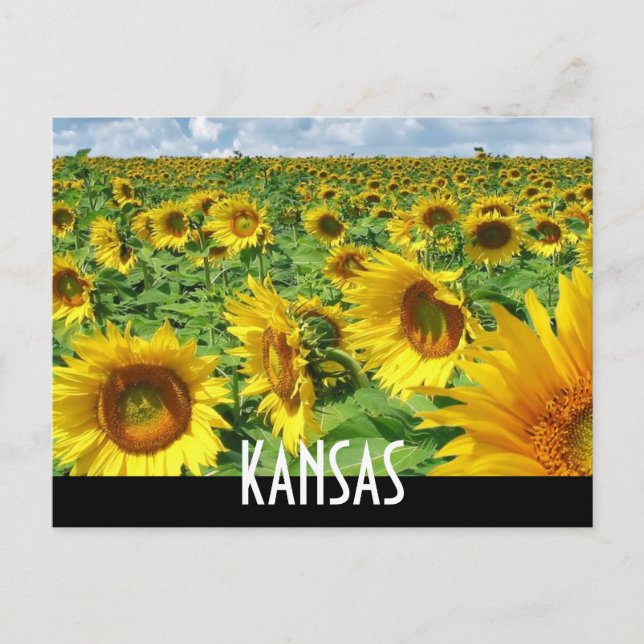 KANSAS POSTCARD (Front)