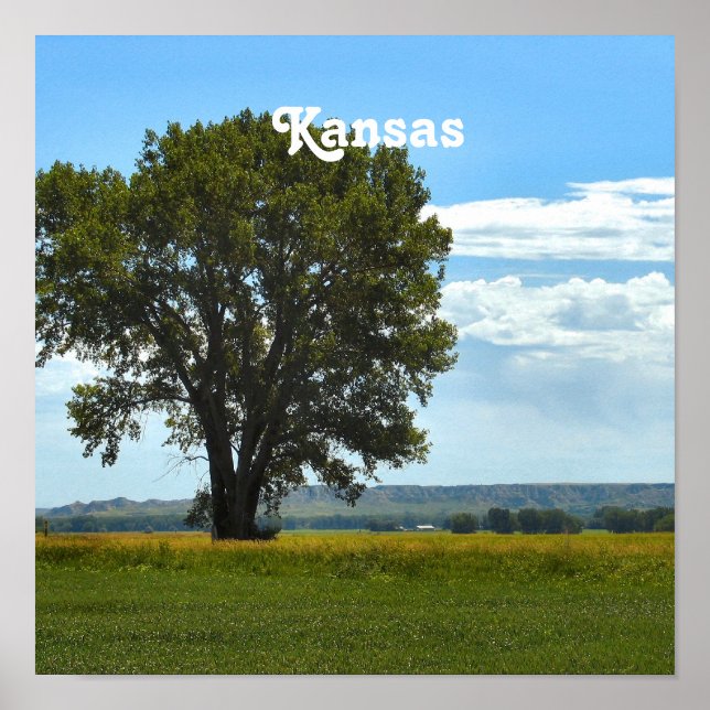 Kansas Poster (Front)