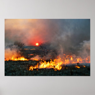 Kansas Prairie Burn at Sunset Poster
