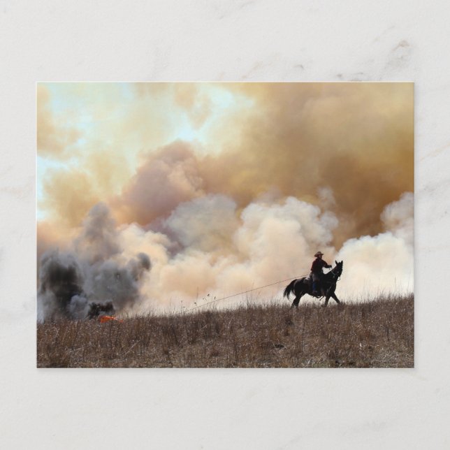 Kansas Rancher Starting a Controlled Burn Postcard (Front)