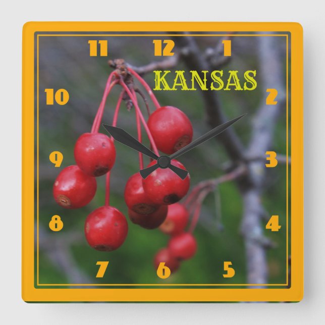 Kansas Red Cherry's closeup Square Wall Clock (Front)