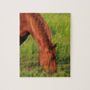 Kansas Red Horse Jigsaw Puzzle