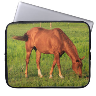 Kansas Red Horse with green pasture LapTop Sleeve. Sleeve