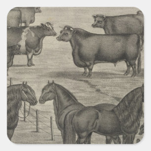 Kansas Representatives Square Sticker