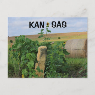 Kansas Stone Post with Sunflowers Post Card