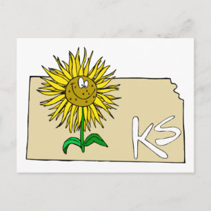 Kansas Sunflower Postcard