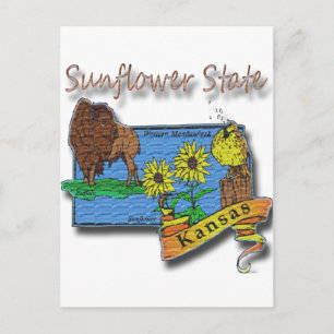 Kansas Sunflower State Lark Sunflower Buffalo Postcard