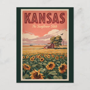 Kansas Sunflowers Illustration Travel Art Vintage Postcard