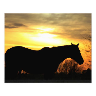 Kansas Sunset silhouette Horse in a Pasture Photo Print