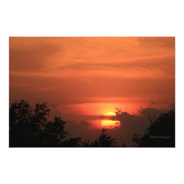 Kansas Sunset with tree and Sun Photo Enlargement (Front)
