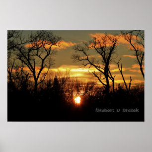 Kansas Sunset with Tree Silhouette, clouds Poster