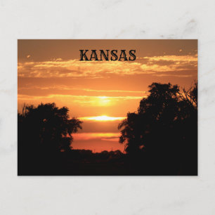 Kansas Sunset with Tree Silhouette Post Card