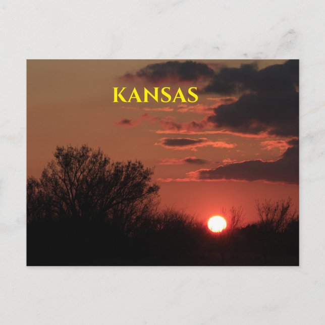 Kansas Sunset with Tree Silhouette Post Card (Front)