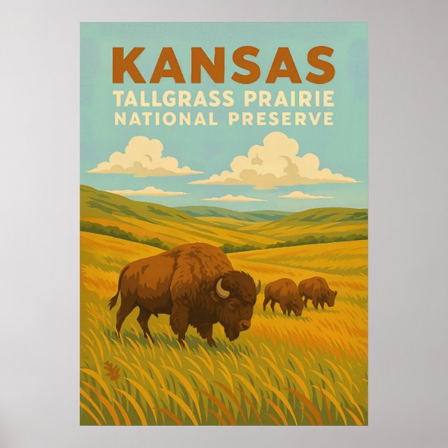Kansas Tallgrass Prairie National Preserve V01 Poster (Front)